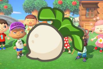 Animal Crossing: New Horizons Turnip