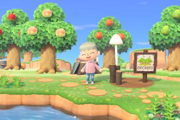 A player stands in their orchard in Animal Crossing New Horizons