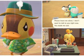 cute animal crossing villagers, isabelle at her work desk, sad villager asking to be left alone