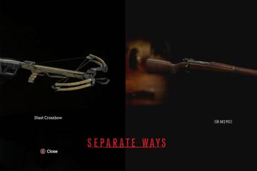 image showing two guns from the separate ways dlc.