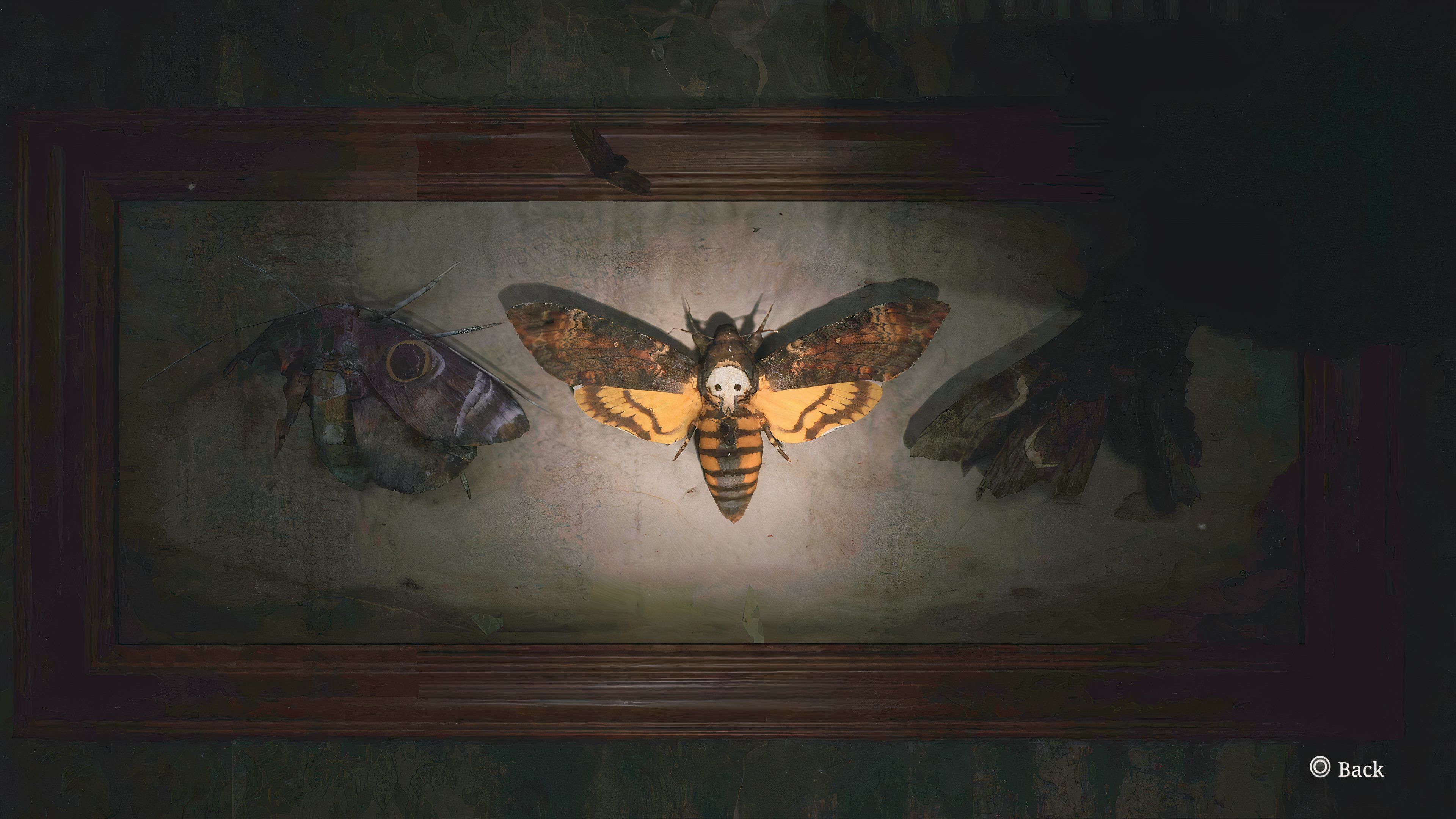 How To Open The Moth Lock In Blue Creek Apartments In Silent Hill 2 Remake 2