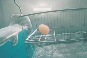 Egging On - official steam screenshot 3