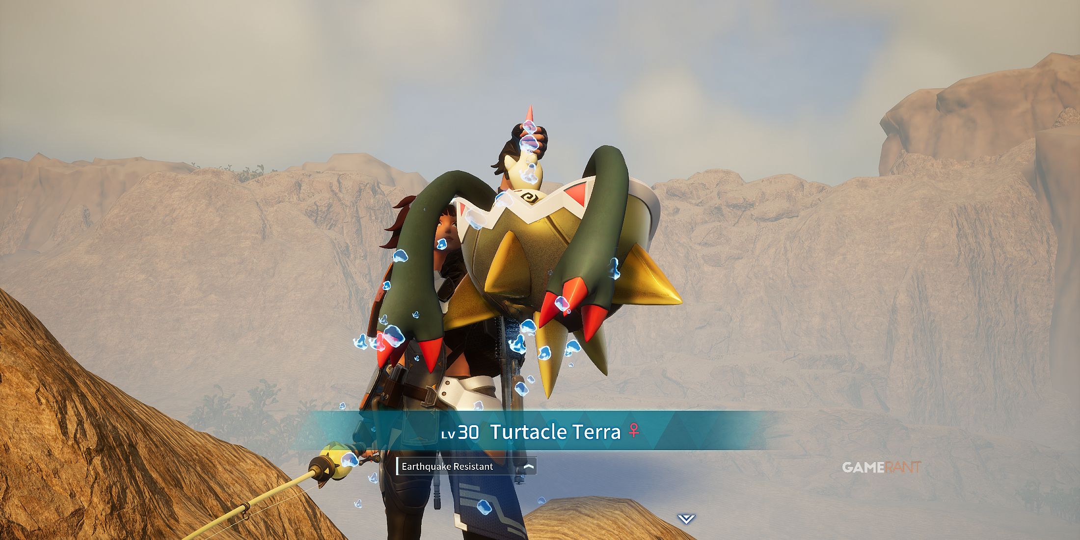Where to find Turtacle Terra in Palworld