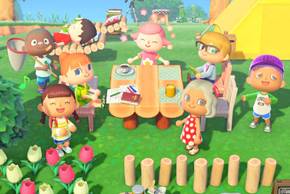 Animal Crossing New Horizons Multiplayer