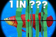 Loot Fish - fish