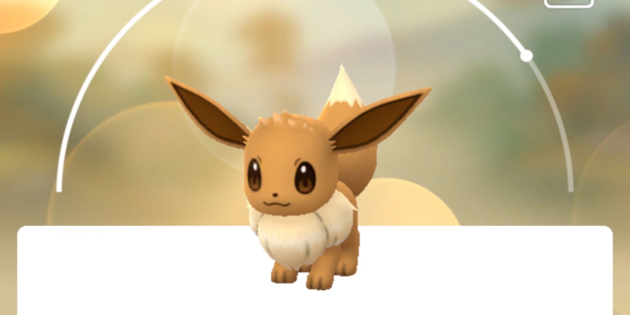 pokemon go eevee xxl size