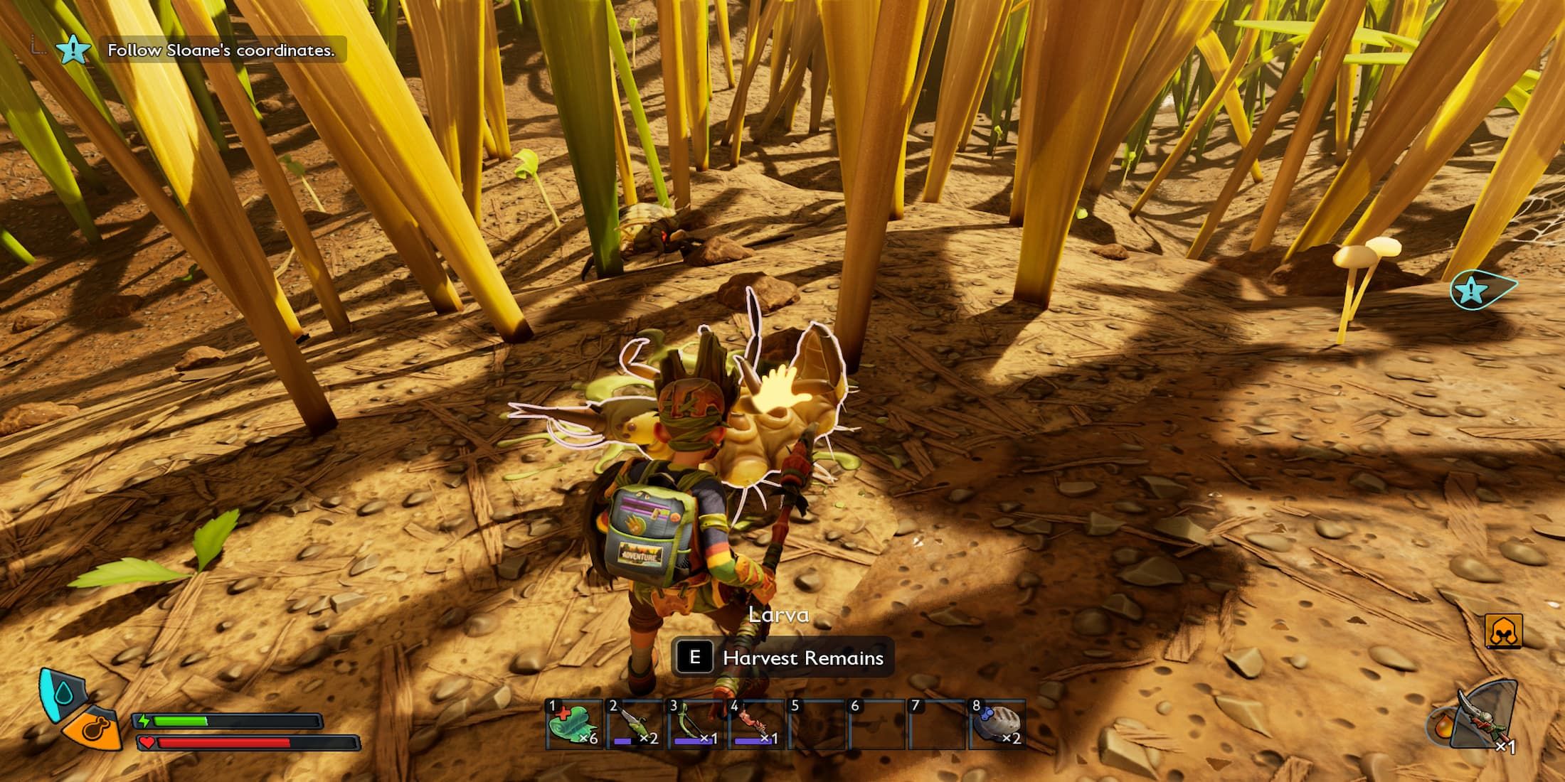 The Player Looting a Larva