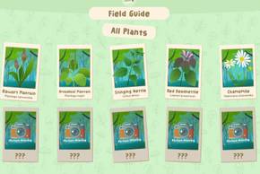 out and about field guide