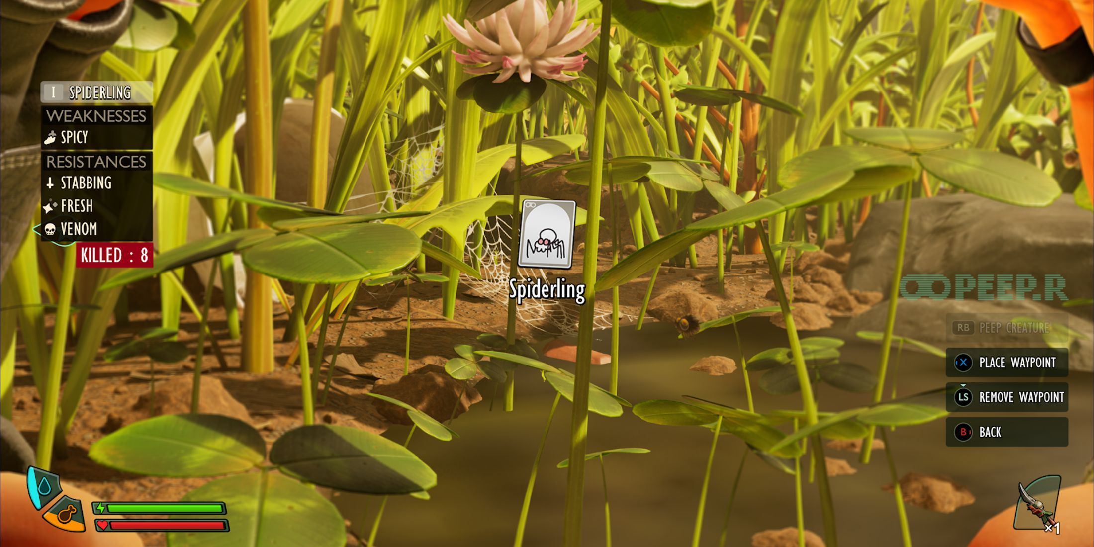 Peeping a Spiderling in Grounded 2