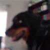 User Display Picture